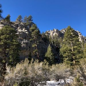 Meet your Posher, Lilli